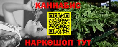 МДПВ Новодвинск