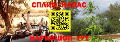 МДПВ Новодвинск