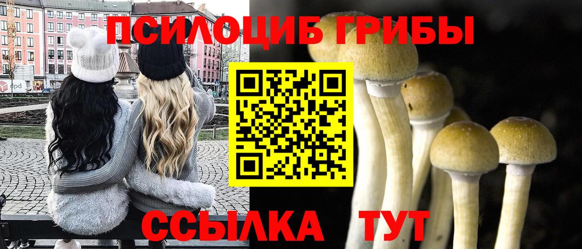 Галлюциногенные грибы Psilocybine cubensis Алексеевка